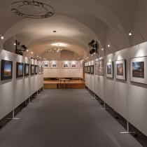 Ausstellungen