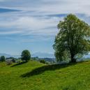 17 Foto: Rolf Meyer, Gipf-Oberfrick