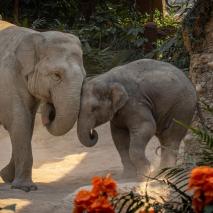 Zoo Zürich