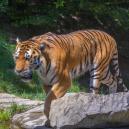 Zoo Zürich