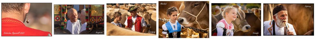 04 Fotos: Erich Wirz, Gipf-Oberfrick
